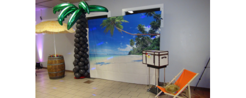 stand_photos_plage_tropique_iles_soleil_mer_lorraine_animation_soire_animateur_photographe_luneville_nancy_metz_epinal_sarrebourg_ludres_magicanim